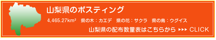 R |XeBO